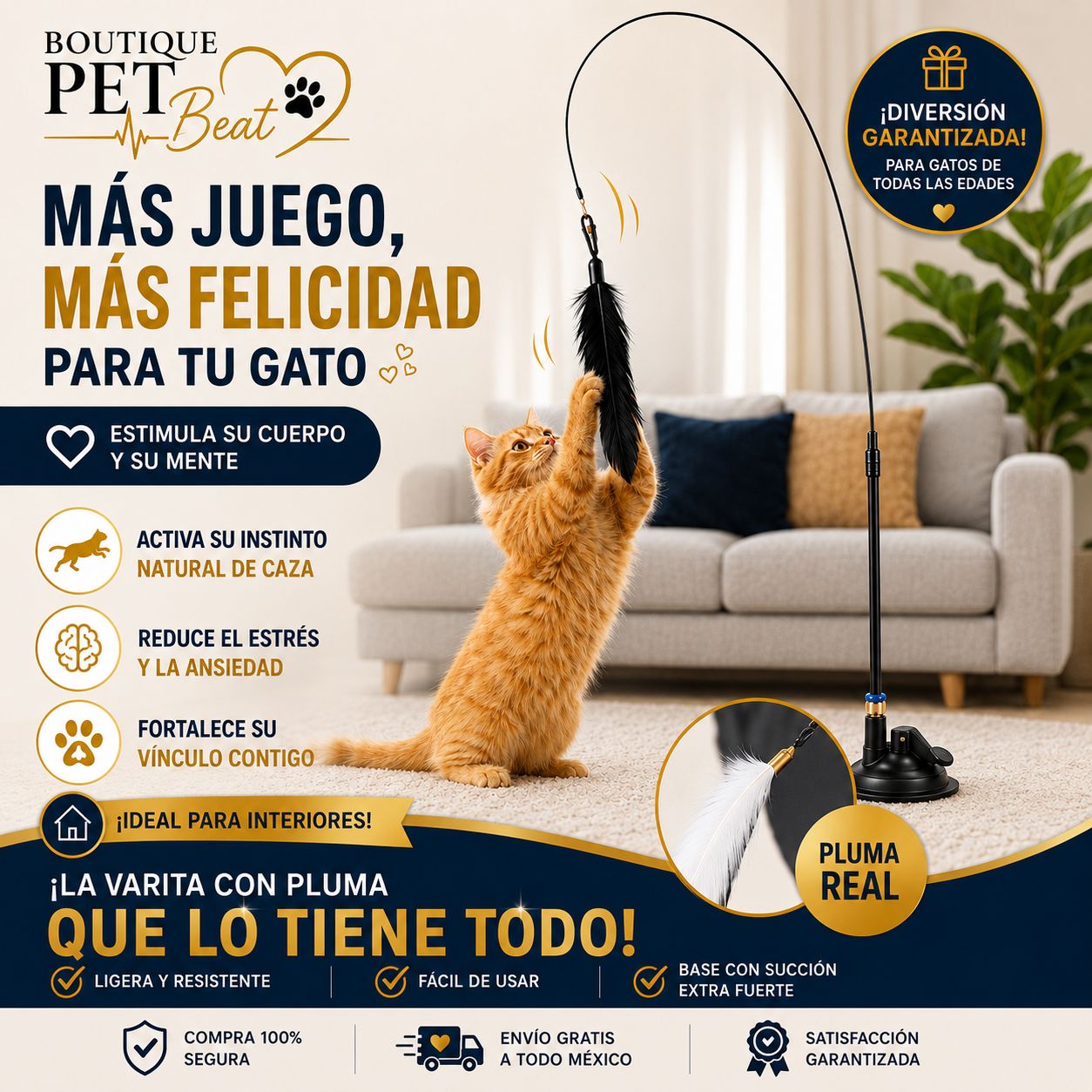 Gato Pet Beat