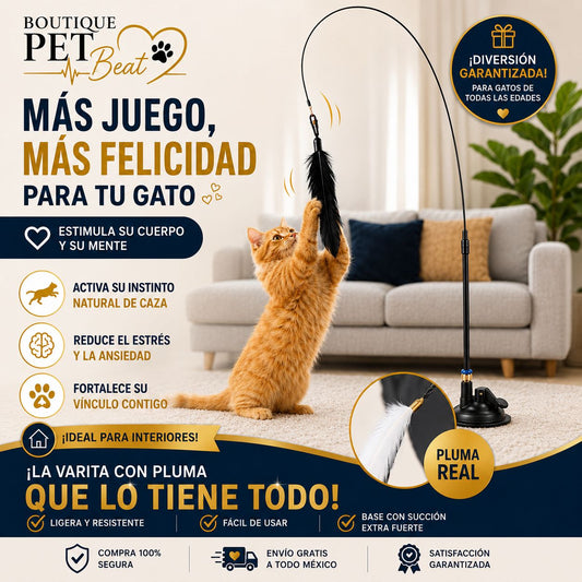 Gato Pet Beat
